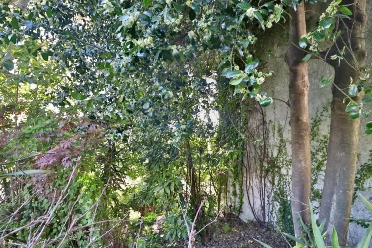 Moradia T5 para Venda em Nogueiró e Tenões Foto 48