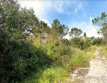 Terreno para Venda em Queluz e Belas
