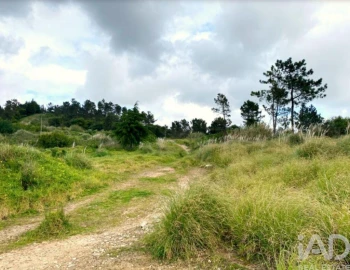 Terreno para Venda em Queluz e Belas