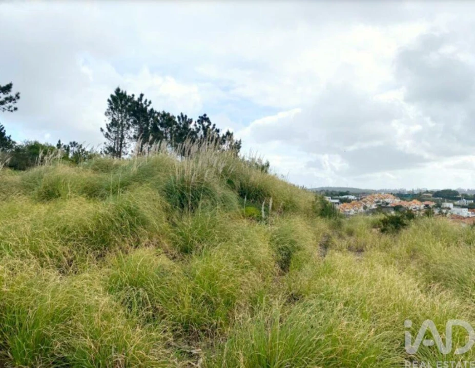 Terreno para Venda em Queluz e Belas Foto 19