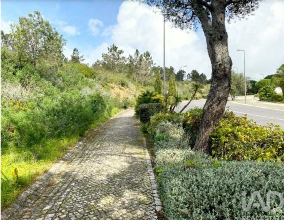 Terreno para Venda em Queluz e Belas Foto 8