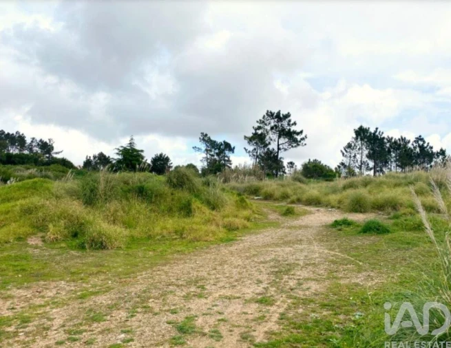 Terreno para Venda em Queluz e Belas Foto 17