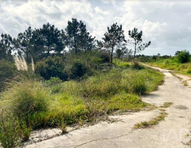 Terreno para Venda em Queluz e Belas Foto 14