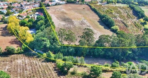 Quinta T5 para Venda em Carvalhal