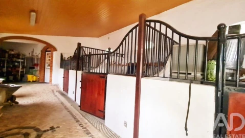 Quinta T5 para Venda em Carvalhal