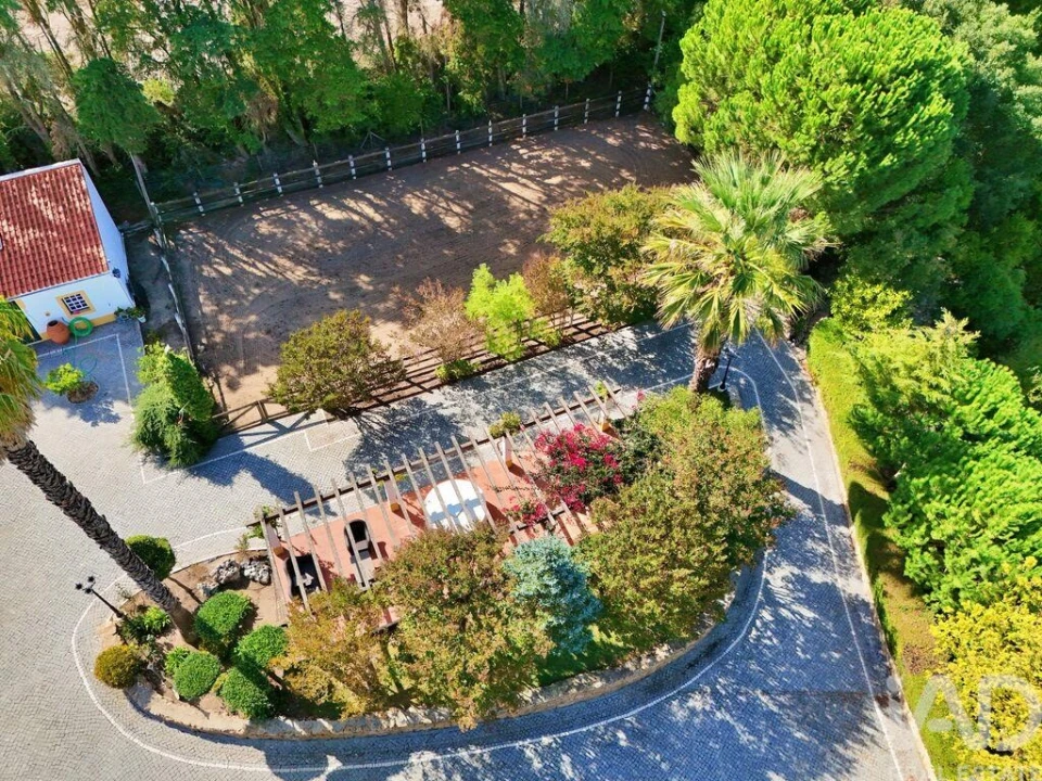 Quinta T5 para Venda em Carvalhal Foto 9