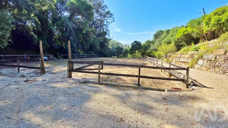 Quinta T5 para Venda em Carvalhal Foto 37