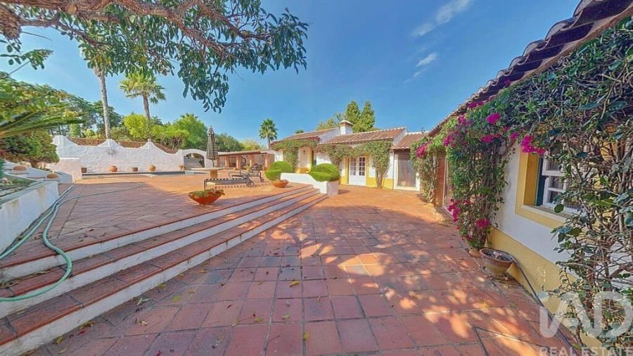 Quinta T5 para Venda em Carvalhal Foto 5