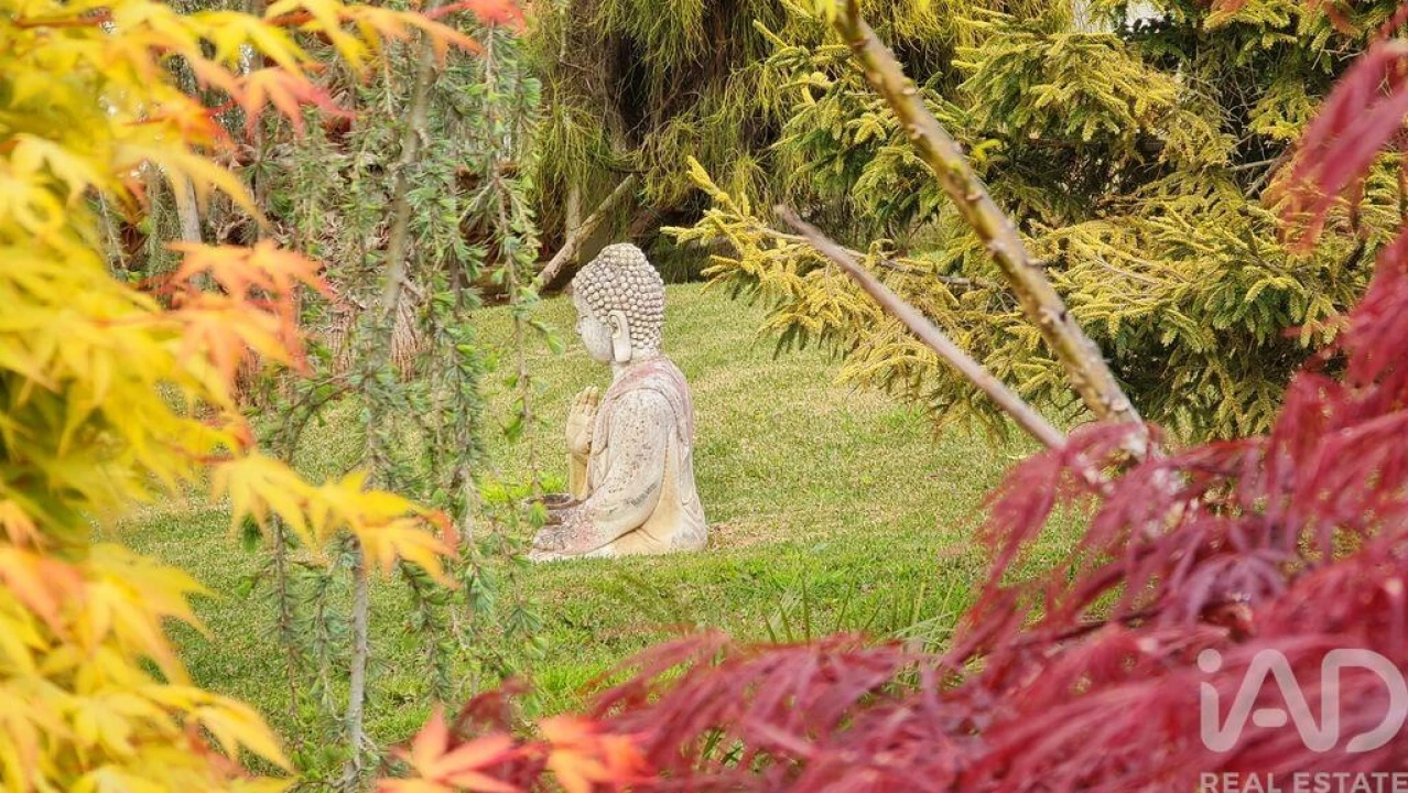 Quinta T5 para Venda em Carvalhal Foto 8