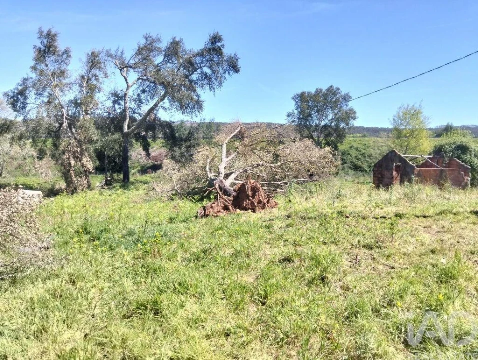 Moradia T1 para Venda em Nossa Senhora do Pranto Foto 18