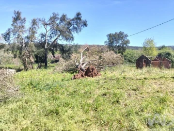 Moradia T1 para Venda em Nossa Senhora do Pranto