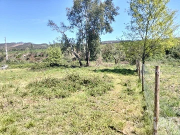 Moradia T1 para Venda em Nossa Senhora do Pranto