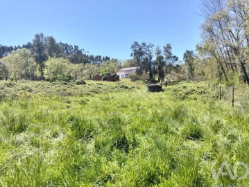 Moradia T1 para Venda em Nossa Senhora do Pranto