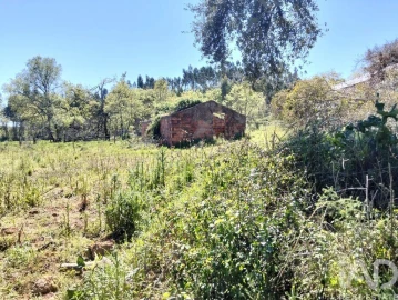 Moradia T1 para Venda em Nossa Senhora do Pranto