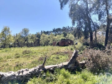 Moradia T1 para Venda em Nossa Senhora do Pranto