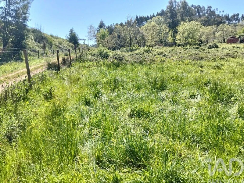 Moradia T1 para Venda em Nossa Senhora do Pranto Foto 39