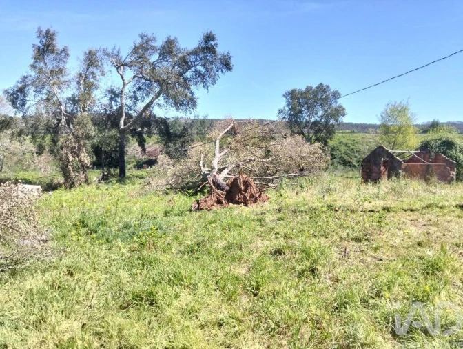 Moradia T1 para Venda em Nossa Senhora do Pranto Foto 18