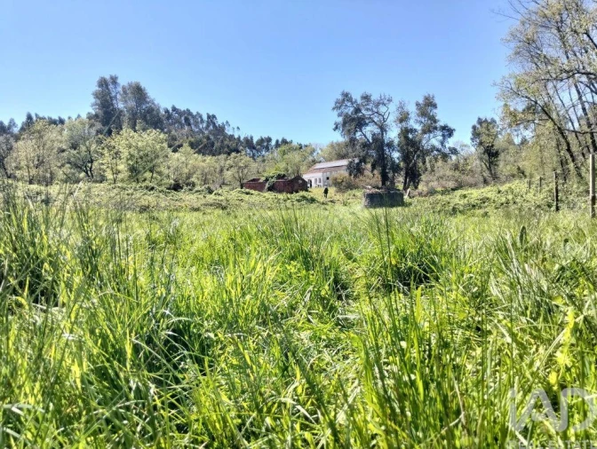 Moradia T1 para Venda em Nossa Senhora do Pranto Foto 40