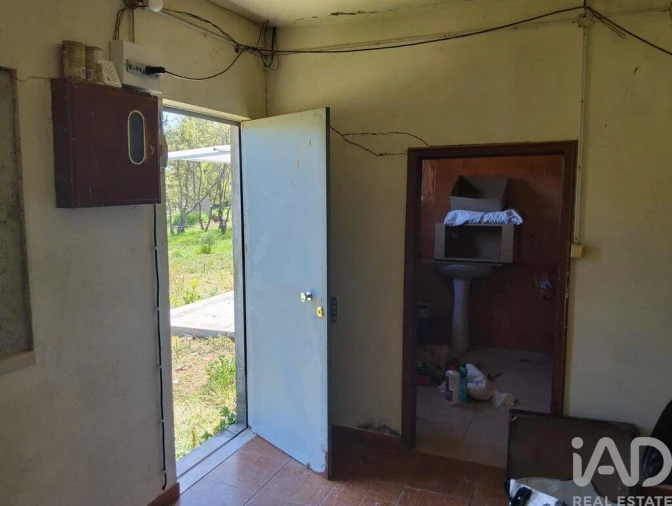 Moradia T1 para Venda em Nossa Senhora do Pranto Foto 36