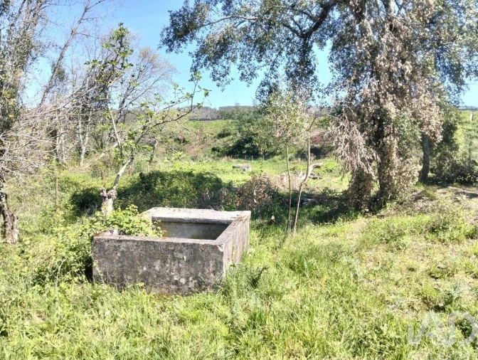 Moradia T1 para Venda em Nossa Senhora do Pranto Foto 12