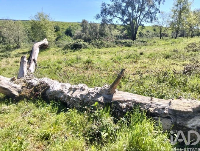 Moradia T1 para Venda em Nossa Senhora do Pranto Foto 14