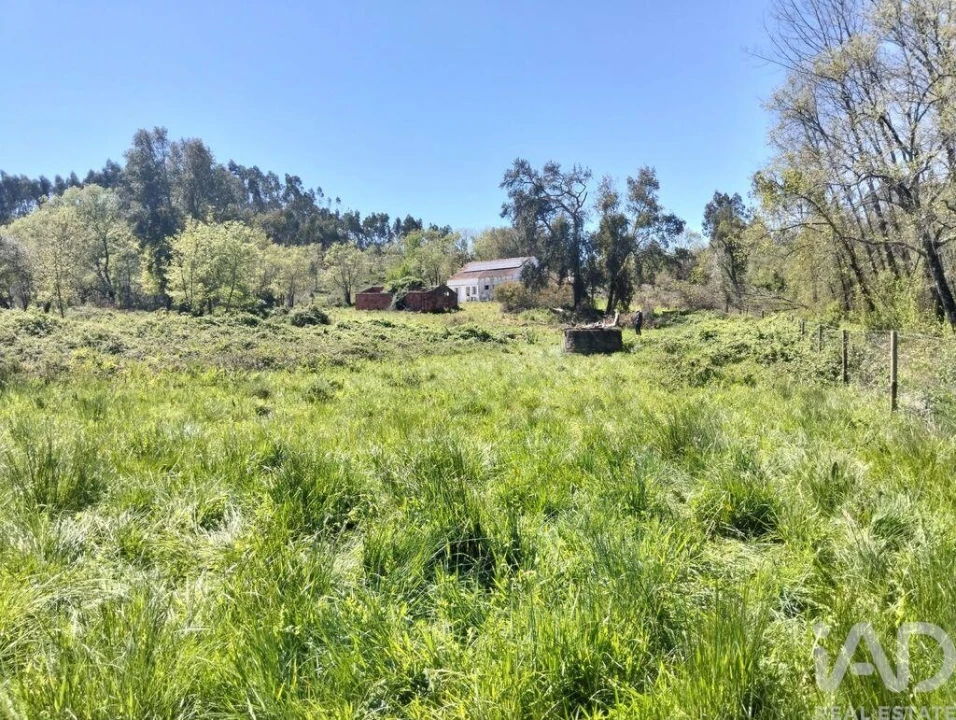 Moradia T1 para Venda em Nossa Senhora do Pranto Foto 1