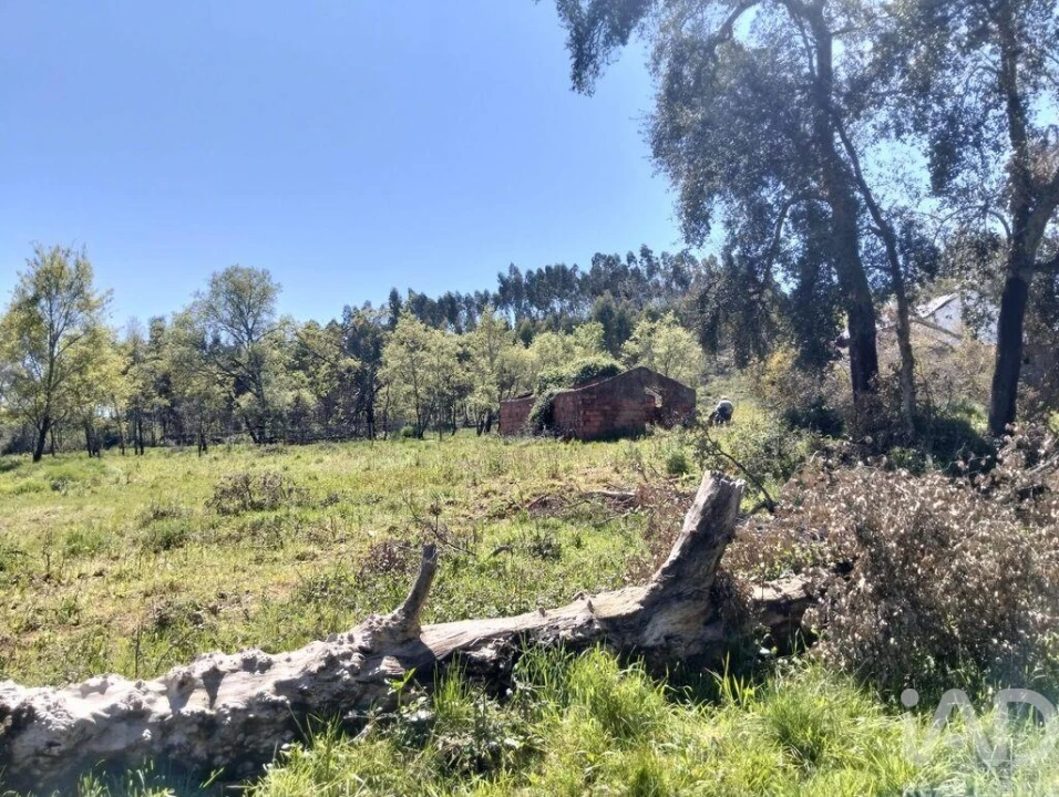 Moradia T1 para Venda em Nossa Senhora do Pranto Foto 17