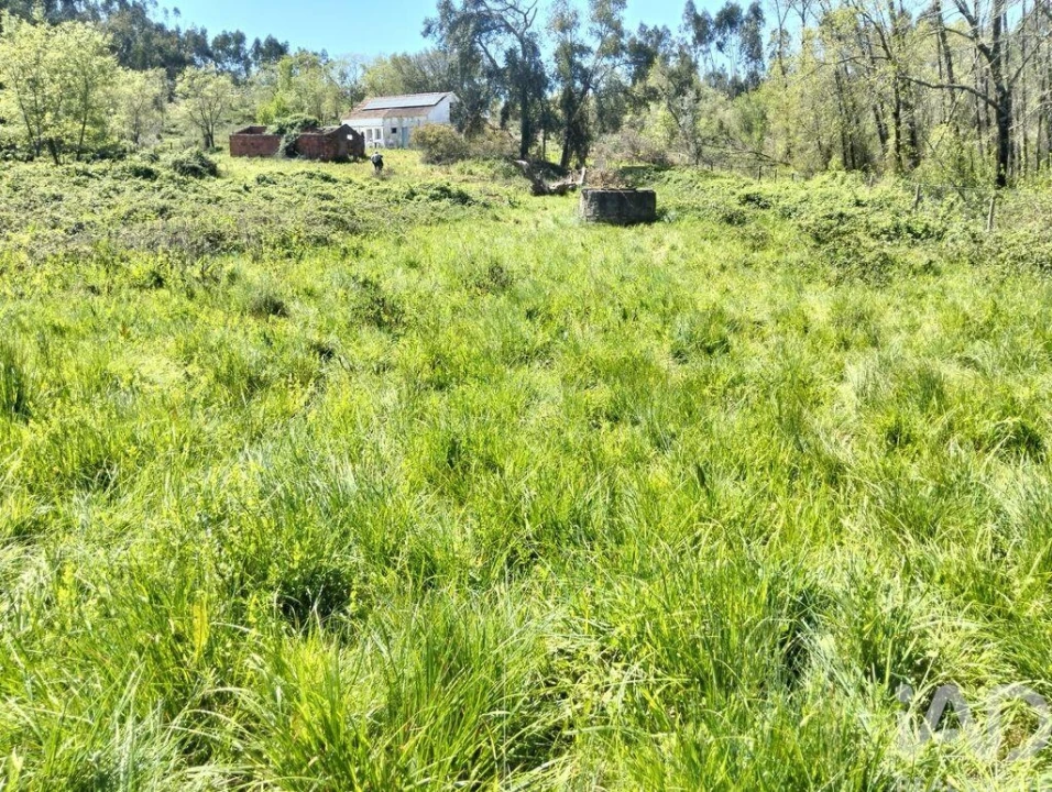 Moradia T1 para Venda em Nossa Senhora do Pranto Foto 19