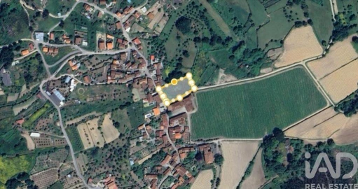 Terreno para Venda em São Martinho de Árvore e Lamarosa