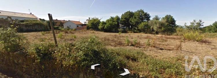 Terreno para Venda em São Martinho de Árvore e Lamarosa