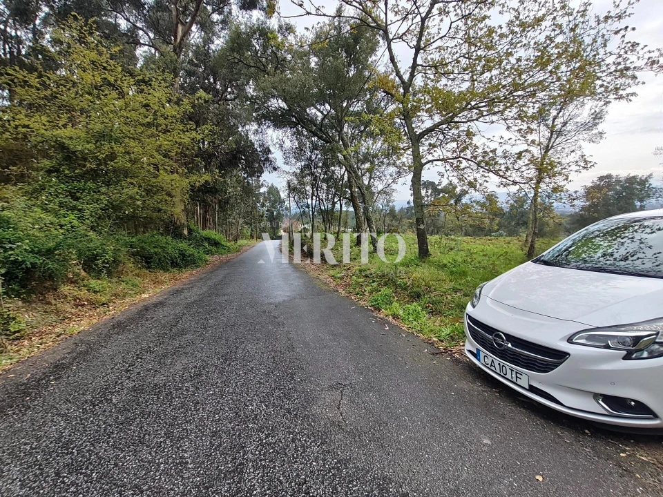 Terreno para Venda em Turiz Foto 8