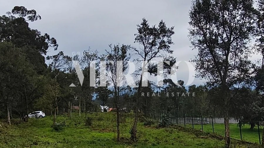Terreno para Venda em Turiz