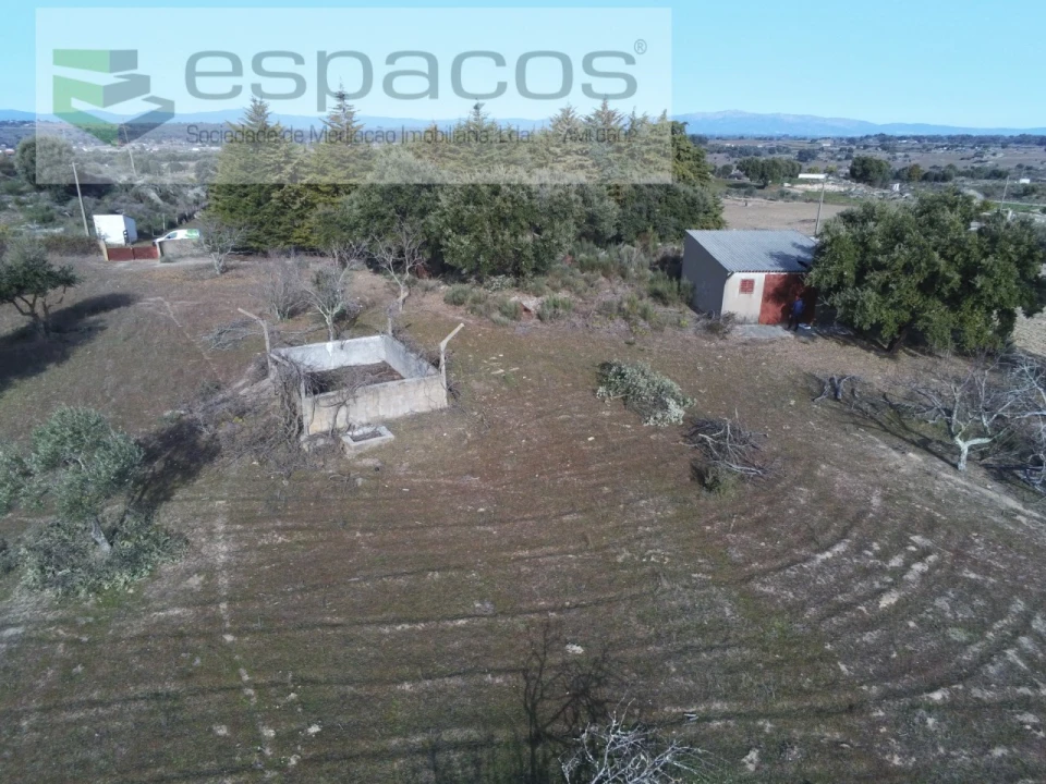 Quinta para Venda em Castelo Branco Foto 3