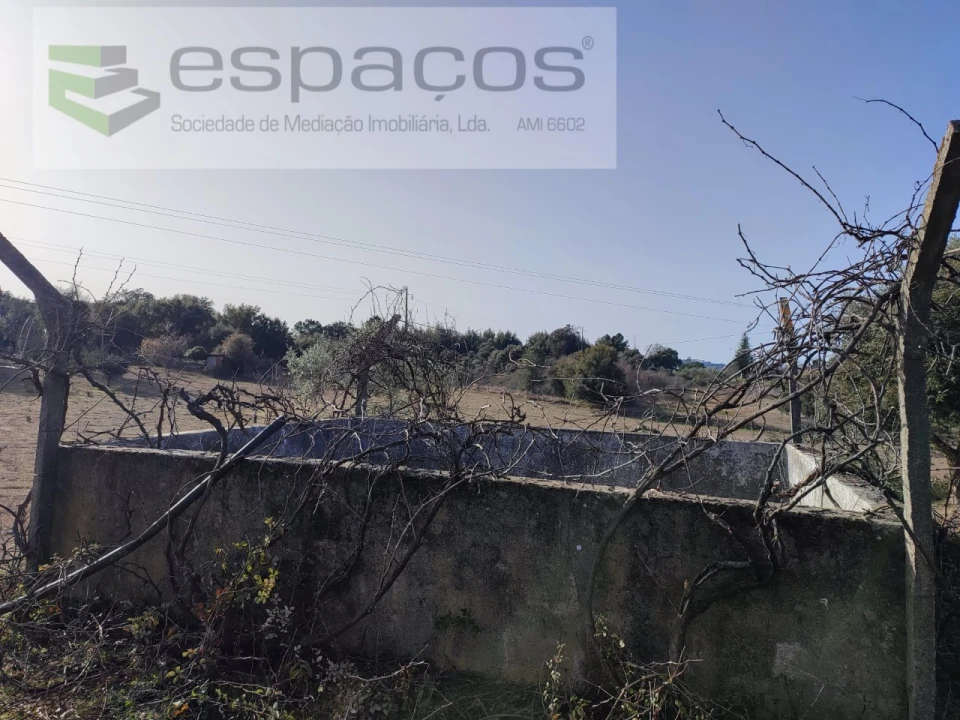 Quinta para Venda em Castelo Branco Foto 6