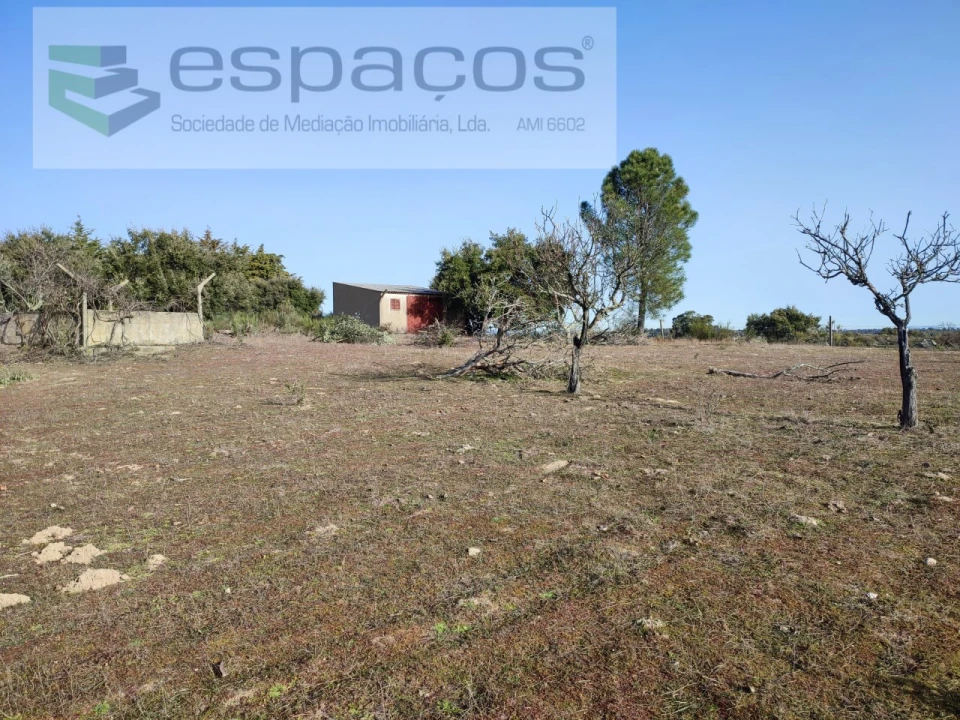 Quinta para Venda em Castelo Branco Foto 9