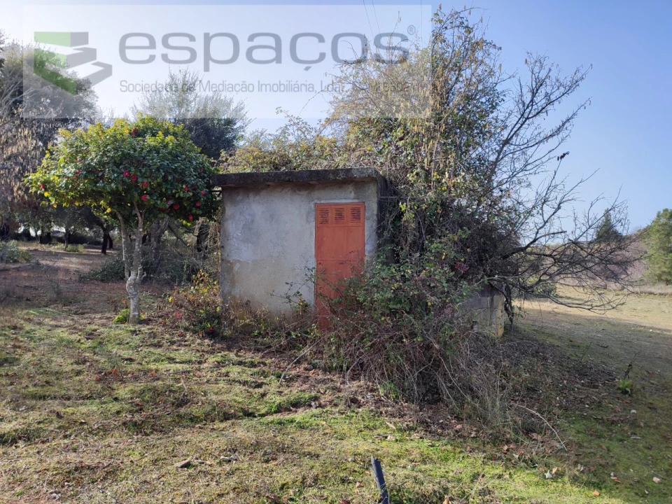 Quinta para Venda em Castelo Branco Foto 11