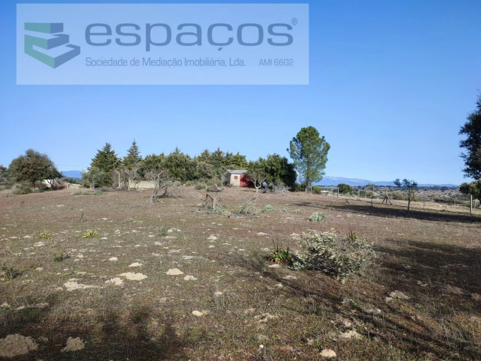 Quinta para Venda em Castelo Branco Foto 1