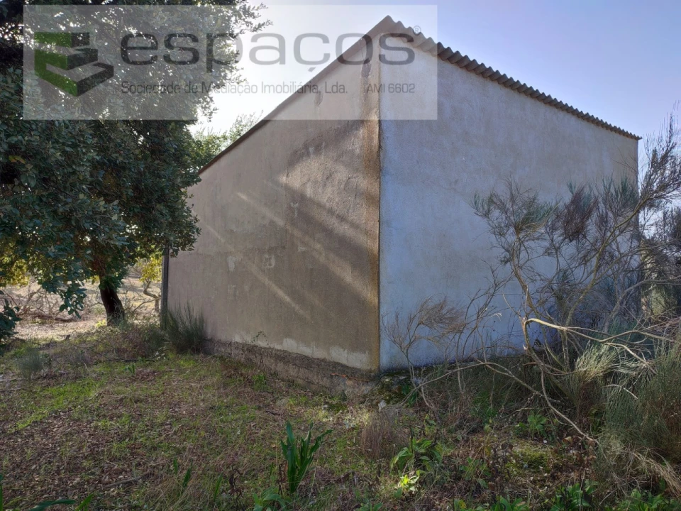 Quinta para Venda em Castelo Branco Foto 19