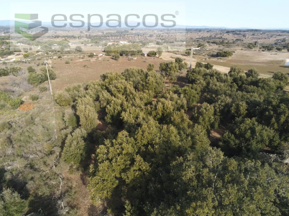 Quinta para Venda em Castelo Branco Foto 21
