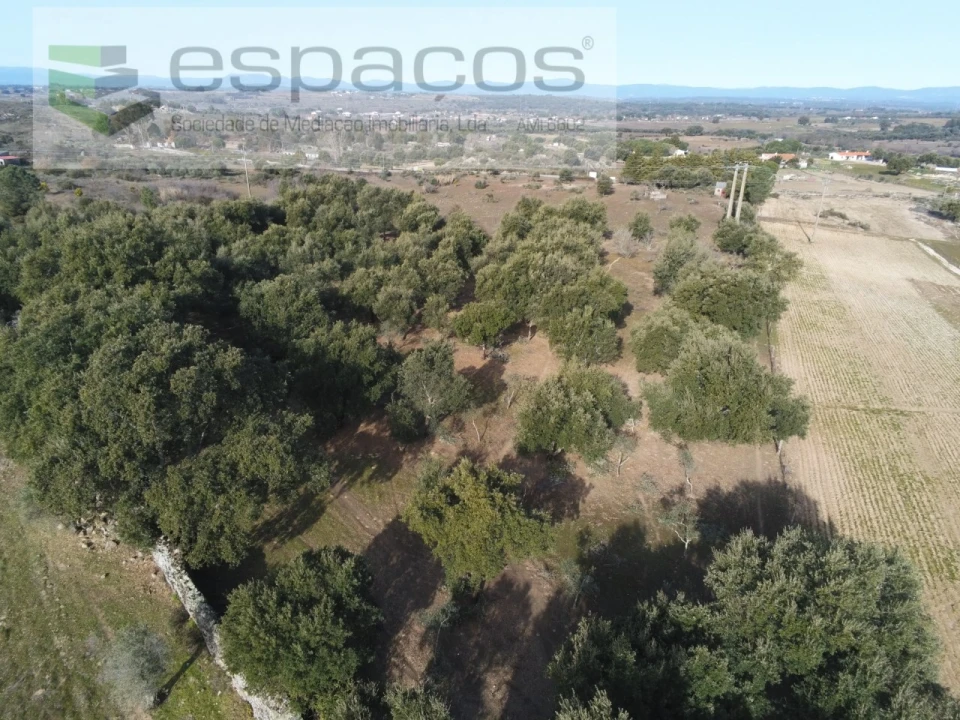 Quinta para Venda em Castelo Branco Foto 22