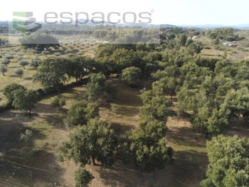 Quinta para Venda em Castelo Branco