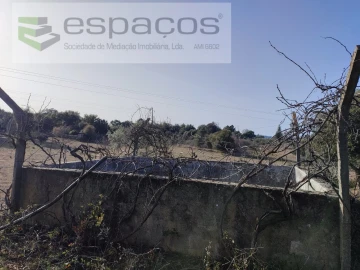 Quinta para Venda em Castelo Branco