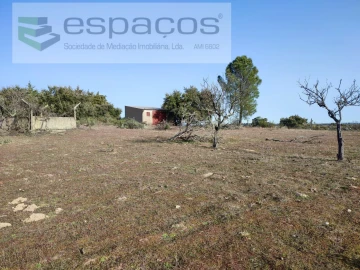 Quinta para Venda em Castelo Branco