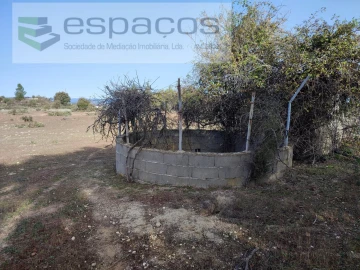 Quinta para Venda em Castelo Branco
