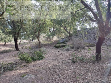 Quinta para Venda em Castelo Branco