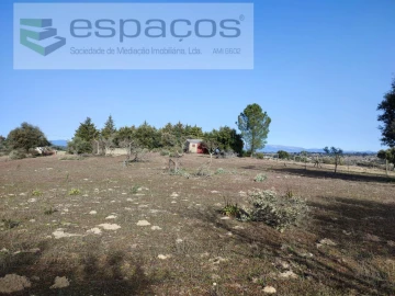 Quinta para Venda em Castelo Branco