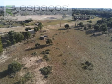 Quinta para Venda em Castelo Branco