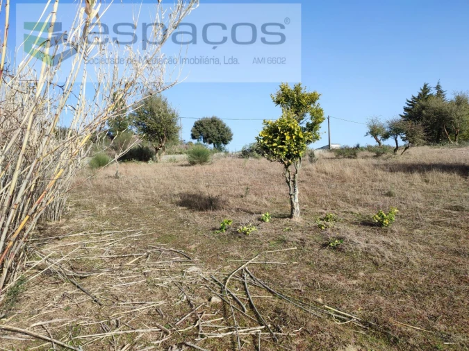 Quinta para Venda em Castelo Branco Foto 17