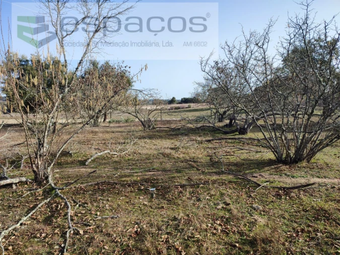Quinta para Venda em Castelo Branco Foto 18