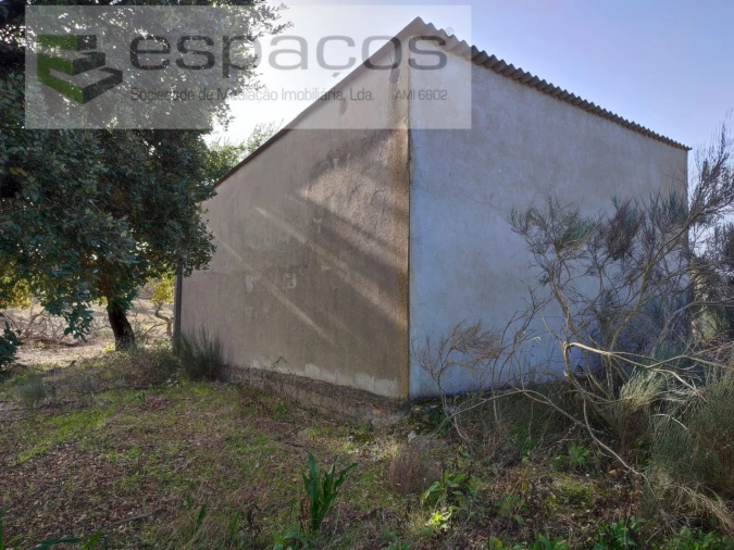 Quinta para Venda em Castelo Branco Foto 19